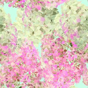Papier Peint Belles Fleurs Colorées – Image 1