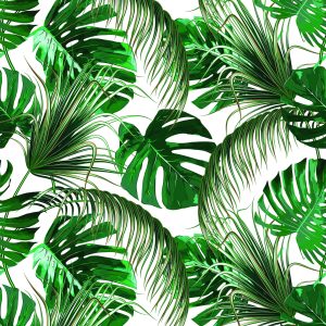 Papier Peint Belles Feuilles Tropicales Colorées – Image 1