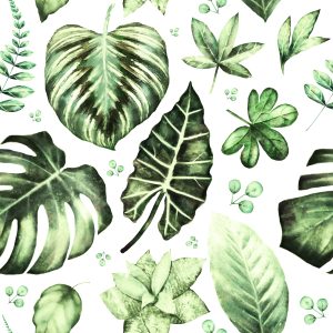 Papier Peint Feuilles Vertes Tropicales – Image 1