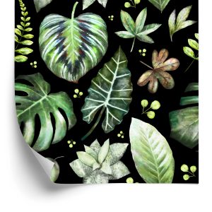 Papier Peint Plantes Sur Fond Sombre – Image 2