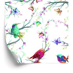 Papier Peint Oiseaux Colorés Sur Un Fond Coloré – Image 2