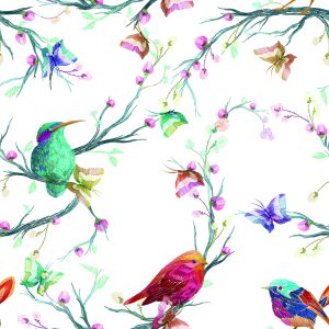Papier Peint Oiseaux Colorés Sur Un Fond Coloré – Image 1