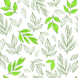 Papier Peint Feuilles Comme Dessinées – Image 1