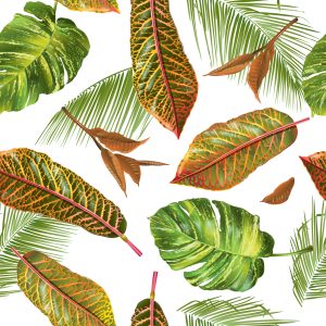 Papier Peint Feuilles De Palmiers Tropicaux – Image 1