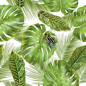 Papier Peint Belle – Image 1