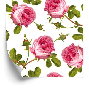 Papier Peint Roses Avec Des Feuilles – Image 2