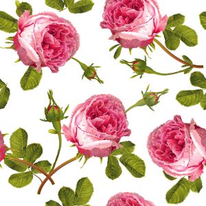 Papier Peint Roses Avec Des Feuilles – Image 1