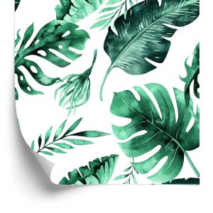 Papier Peint Belles Feuilles Exotiques – Image 2