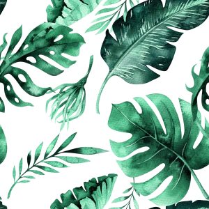 Papier Peint Belles Feuilles Exotiques – Image 1