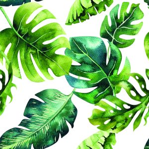 Papier Peint Feuilles Tropicales Dans Les Tons Verts – Image 1