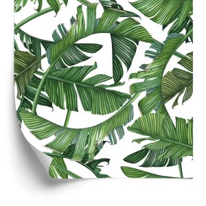 Papier Peint Belles Feuilles Exotiques – Image 2