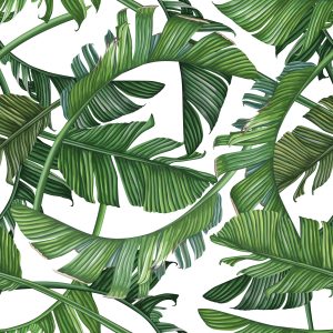 Papier Peint Belles Feuilles Exotiques – Image 1