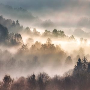 Peinture sur toile Mist In Forest With Sunbeam Rays, Woods Landscape – Image 1