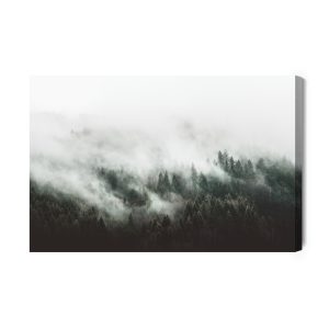 Peinture sur toile Moody Forest Landscape With Fog And Mist – Image 2
