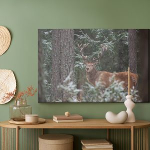 Peinture sur toile Un Cerf Avec Un Bois Magnifique Dans La Forêt – Image 5