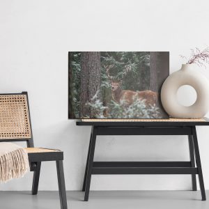 Peinture sur toile Un Cerf Avec Un Bois Magnifique Dans La Forêt – Image 6