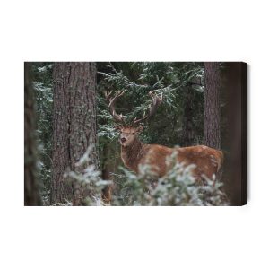 Peinture sur toile Un Cerf Avec Un Bois Magnifique Dans La Forêt – Image 2