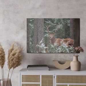 Peinture sur toile Un Cerf Avec Un Bois Magnifique Dans La Forêt – Image 3