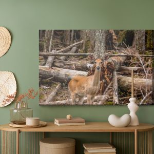 Peinture sur toile Un Jeune Cerf Parmi Les Arbres – Image 5
