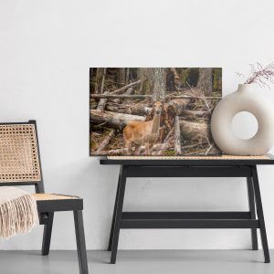 Peinture sur toile Un Jeune Cerf Parmi Les Arbres – Image 6