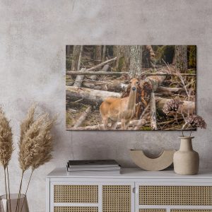 Peinture sur toile Un Jeune Cerf Parmi Les Arbres – Image 3