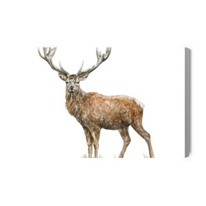 Peinture sur toile Un Cerf Comme Peint À L'aquarelle – Image 2