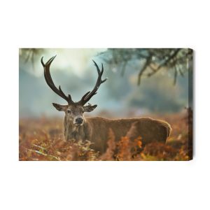 Peinture sur toile Un Cerf Magnifique À La Saison Du Rut – Image 2