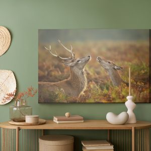 Peinture sur toile Cerf Avec Une Biche – Image 5
