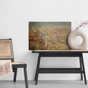 Peinture sur toile Cerf Avec Une Biche – Image 6