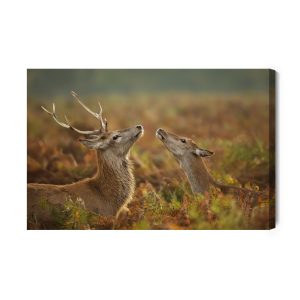 Peinture sur toile Cerf Avec Une Biche – Image 2