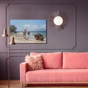Peinture sur toile Cerf Sur La Plage – Image 4