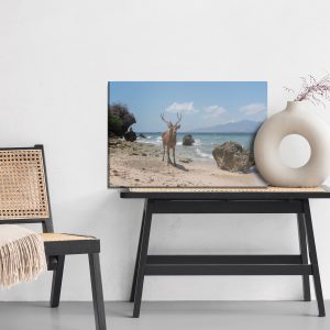 Peinture sur toile Cerf Sur La Plage – Image 6