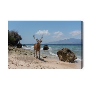 Peinture sur toile Cerf Sur La Plage – Image 2