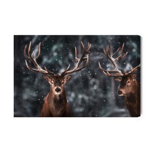 Peinture sur toile Deux Magnifiques Cerfs – Image 2