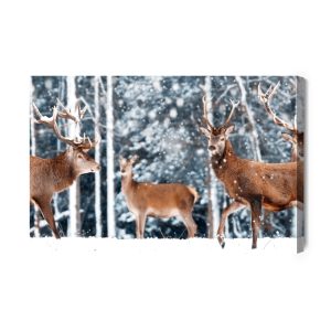 Peinture sur toile Un Troupeau De Cerfs Dans La Forêt D'hiver – Image 2