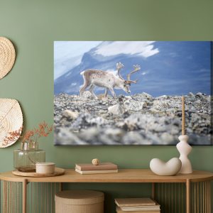 Peinture sur toile Rennes Sur Le Fond Des Montagnes – Image 5