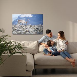 Peinture sur toile Rennes Sur Le Fond Des Montagnes – Image 7