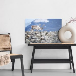 Peinture sur toile Rennes Sur Le Fond Des Montagnes – Image 6