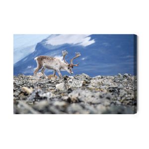 Peinture sur toile Rennes Sur Le Fond Des Montagnes – Image 2