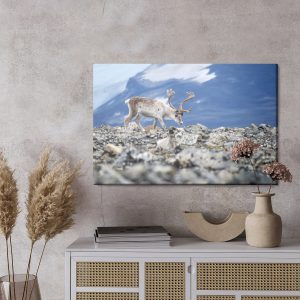 Peinture sur toile Rennes Sur Le Fond Des Montagnes – Image 3