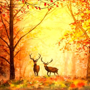 Peinture sur toile Cerf Dans La Forêt D'automne – Image 1