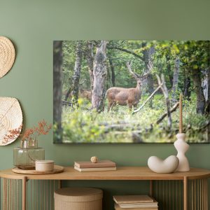 Peinture sur toile Un Cerf Au Milieu D'une Forêt De Feuillus – Image 5