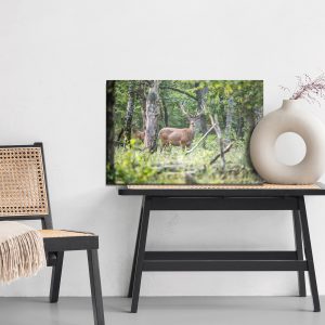 Peinture sur toile Un Cerf Au Milieu D'une Forêt De Feuillus – Image 6