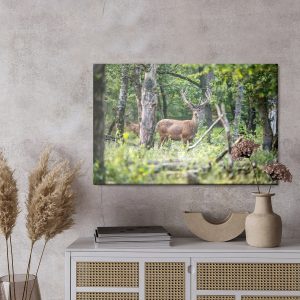 Peinture sur toile Un Cerf Au Milieu D'une Forêt De Feuillus – Image 3
