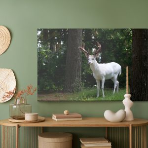 Peinture sur toile Cerf Albinos Dans La Forêt – Image 5