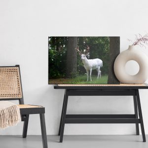 Peinture sur toile Cerf Albinos Dans La Forêt – Image 6