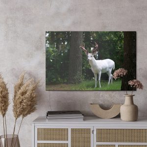 Peinture sur toile Cerf Albinos Dans La Forêt – Image 3