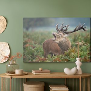 Peinture sur toile Cerf Adulte En Rut – Image 5