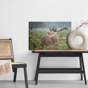 Peinture sur toile Cerf Adulte En Rut – Image 6