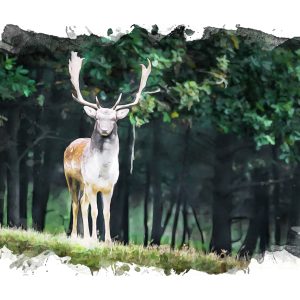 Peinture sur toile Un Cerf Dans La Forêt Peint À L'aquarelle – Image 1